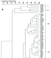 Jundishapur J Microbiol